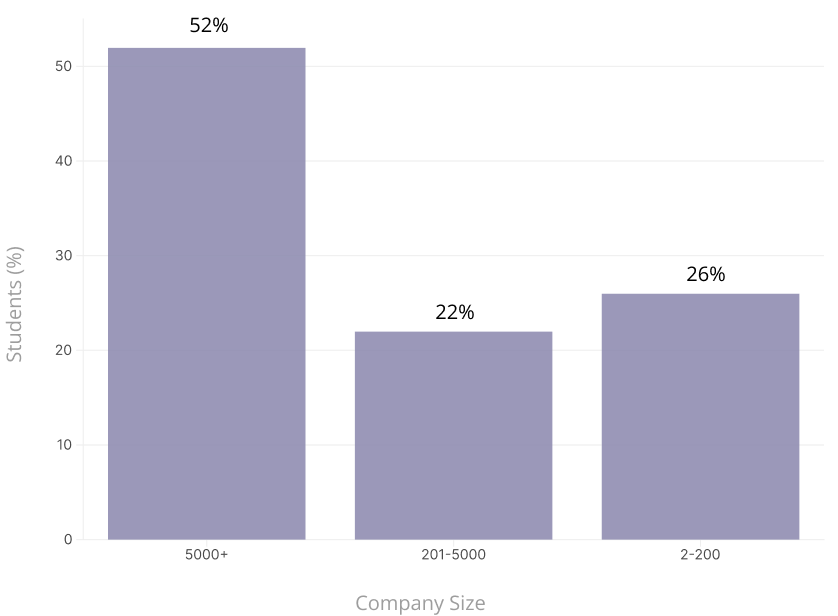 Snapshot of company size